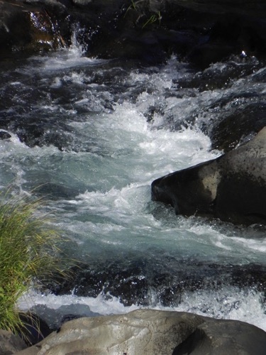 McCloud River